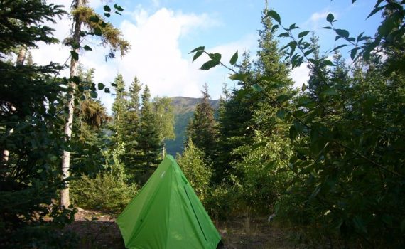 キャンプでの調理はテントから200メートル以上離れた場所で行い、食糧やその匂いがついたものはテント近くには持ち込まないのが基本。